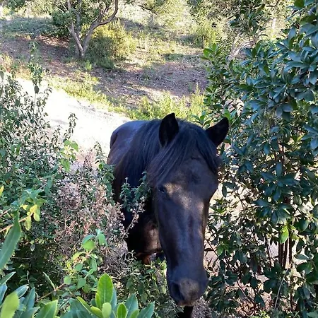 Вилла A Scopa 14 Vue Panoramique * Pietrosella