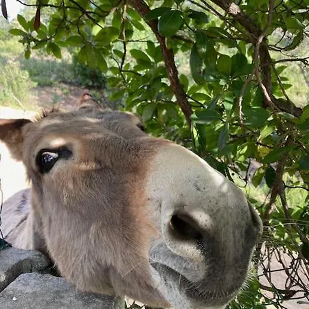 Вилла A Scopa 14 Vue Panoramique * Pietrosella